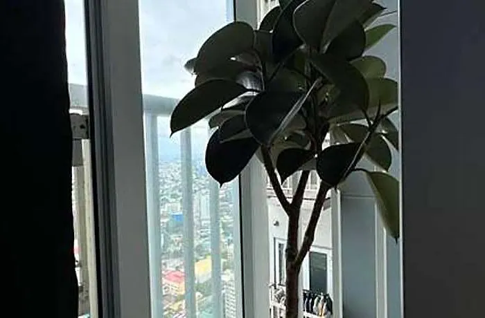 Apartment Casa Laforteza - Morato *